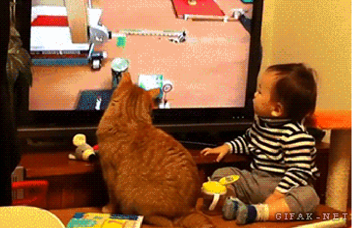 Baby and cat in unison