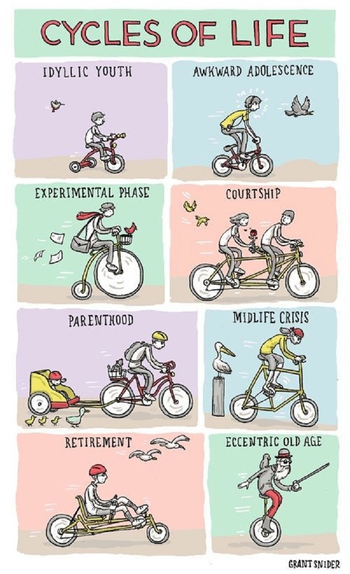 Cycles of life