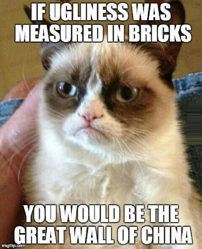 If ugliness was measured