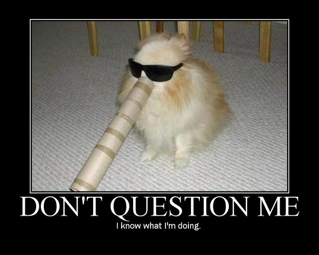 Dont Question Me