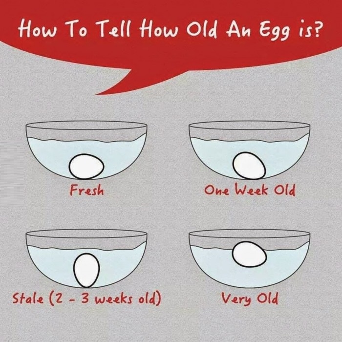 Hold old is the egg?