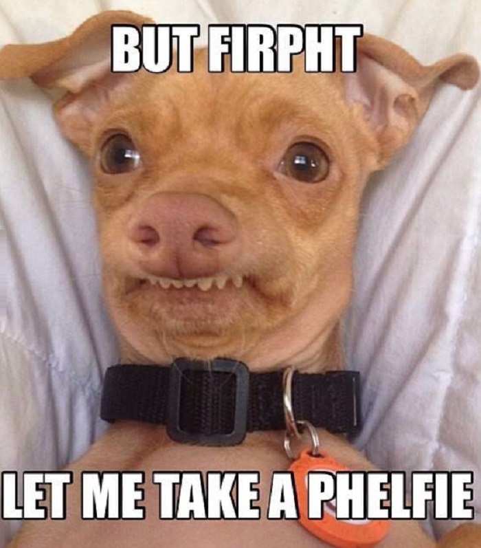 #Phelfie