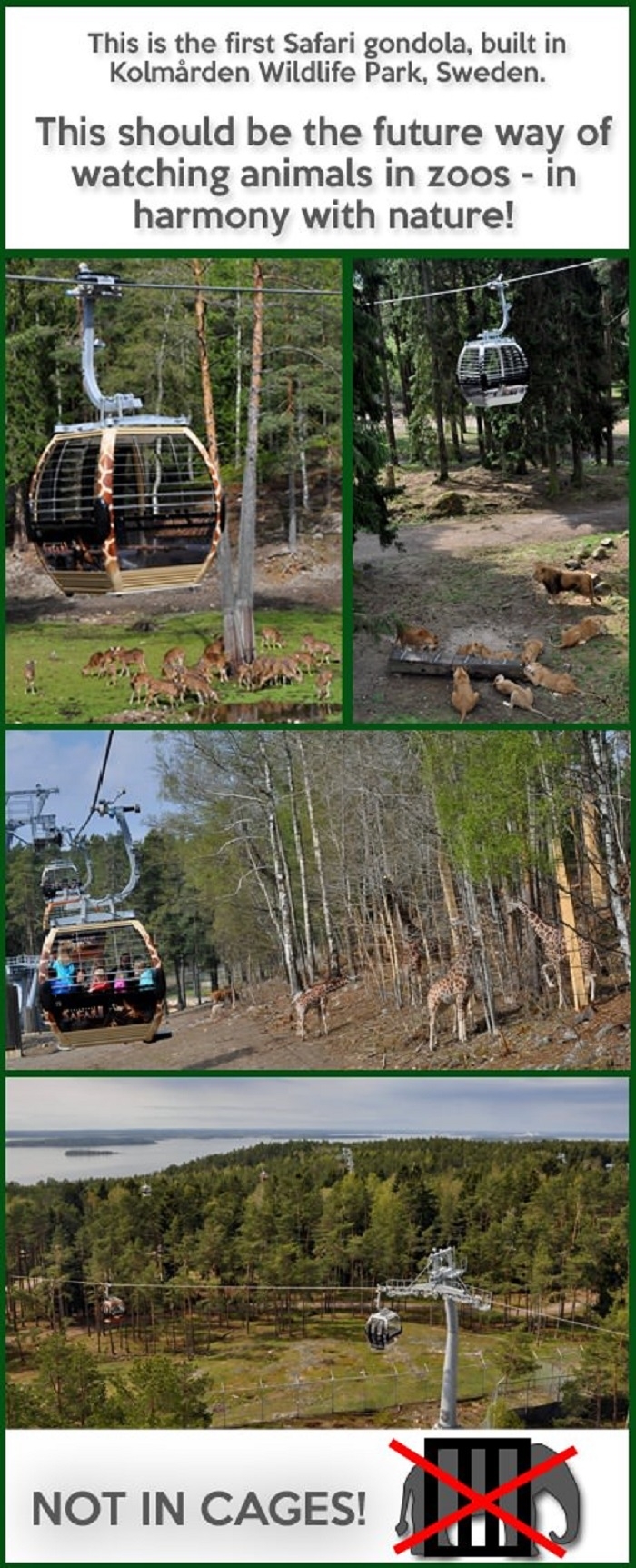 Instead of cages at the zoo