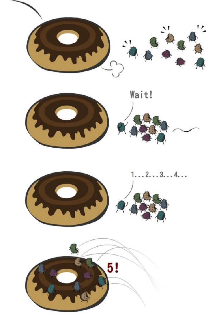 5 seconds rule