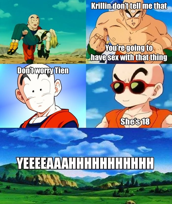 Dammit Krillin!