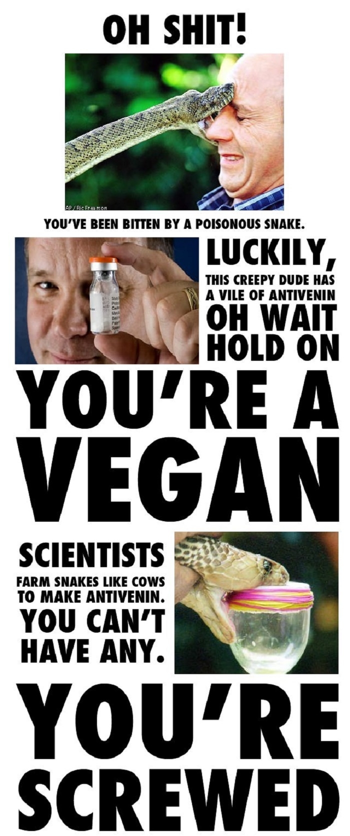 How to kill all vegans
