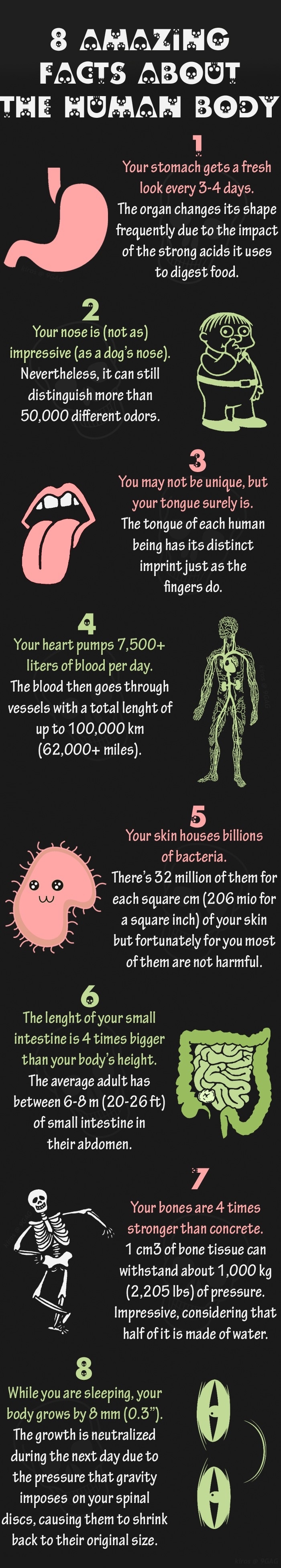 Human body facts