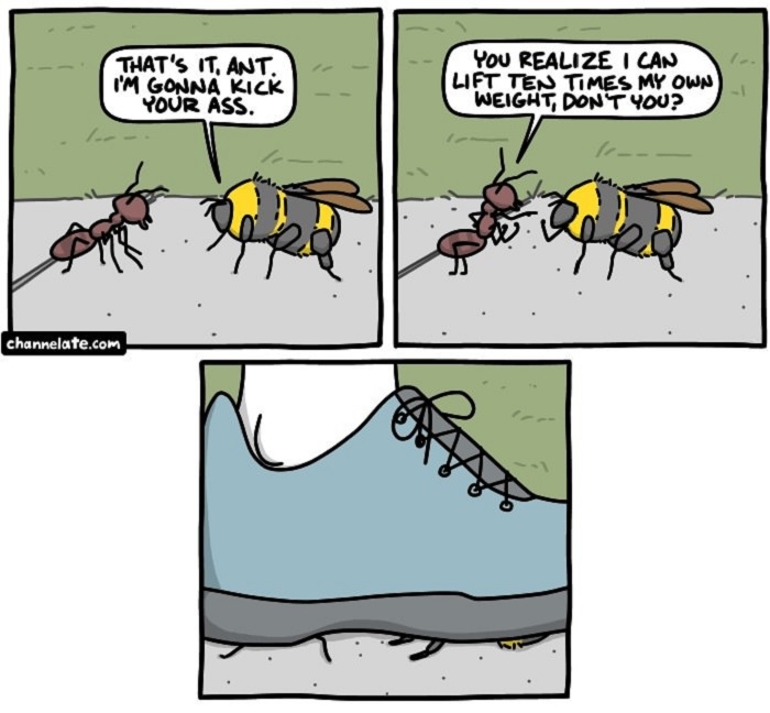 Ant Vs Bee