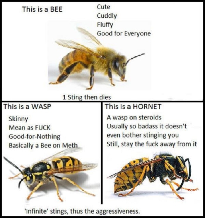 In case you were wondering