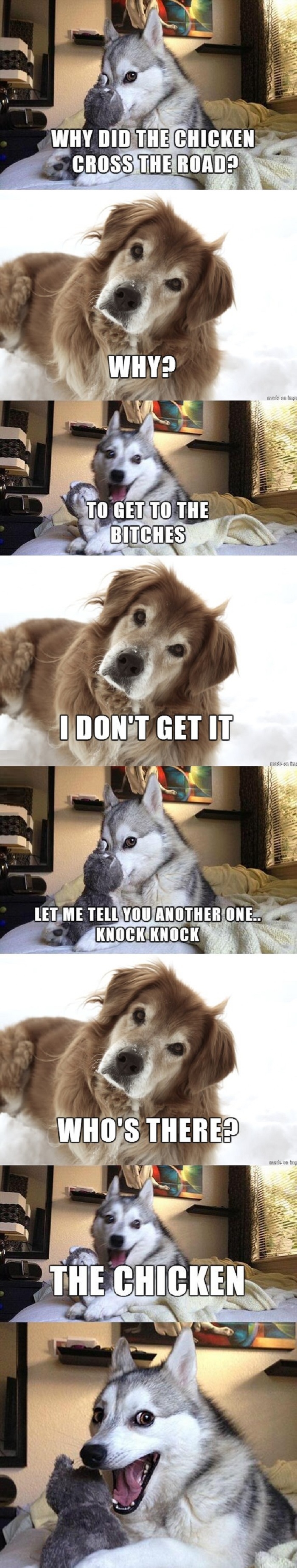Pun dog