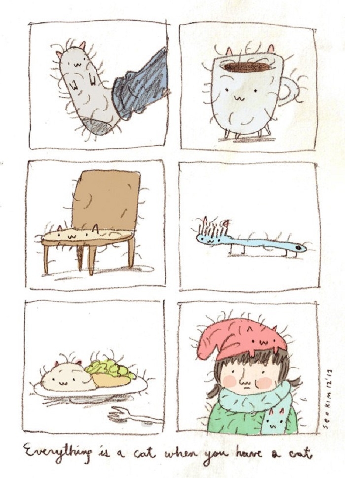 Living with a cat