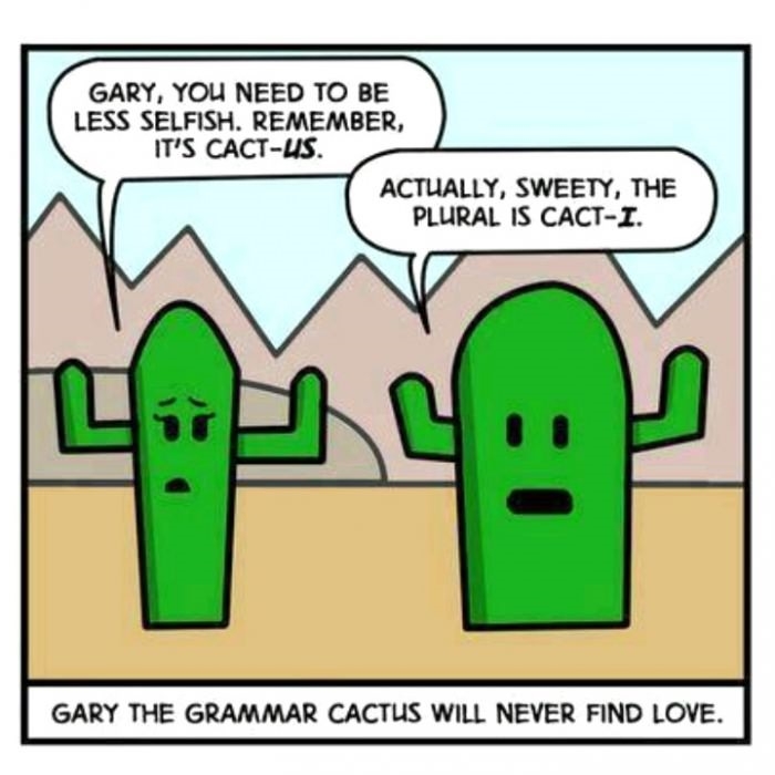 Gary the cactus