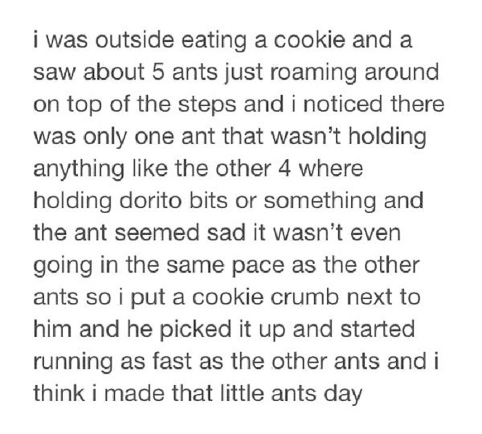 Made the ant's day