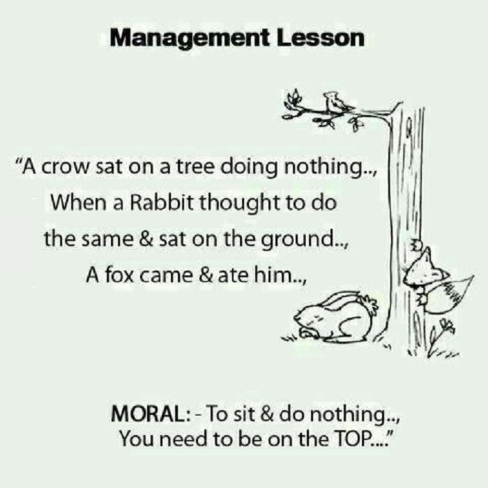 Management lesson