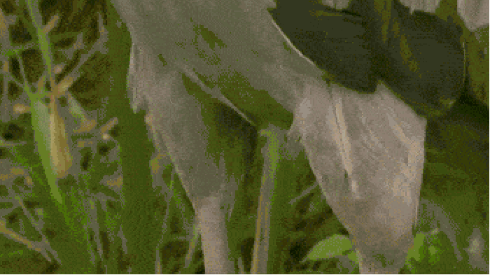 I'll murder your family