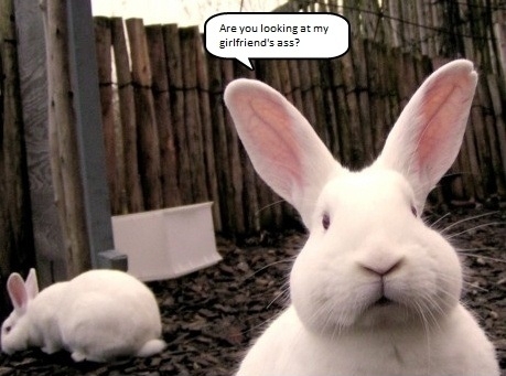 What are you looking at??