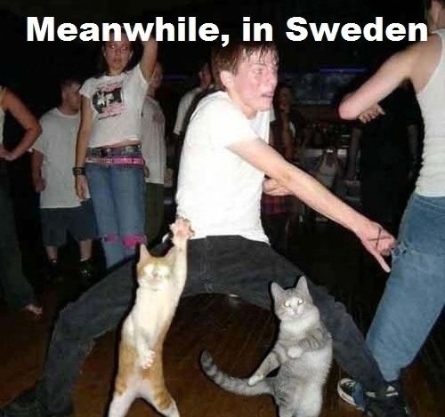 Meanwhile in Sweden...