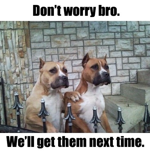 Don't worry bro
