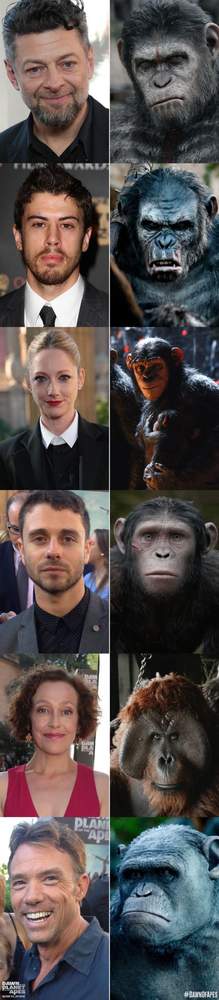 Dawn of the Planet of the Apes