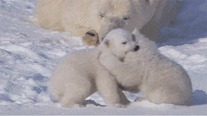 An unexpected left hook