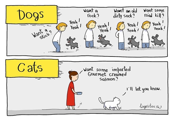 Cats and dogs