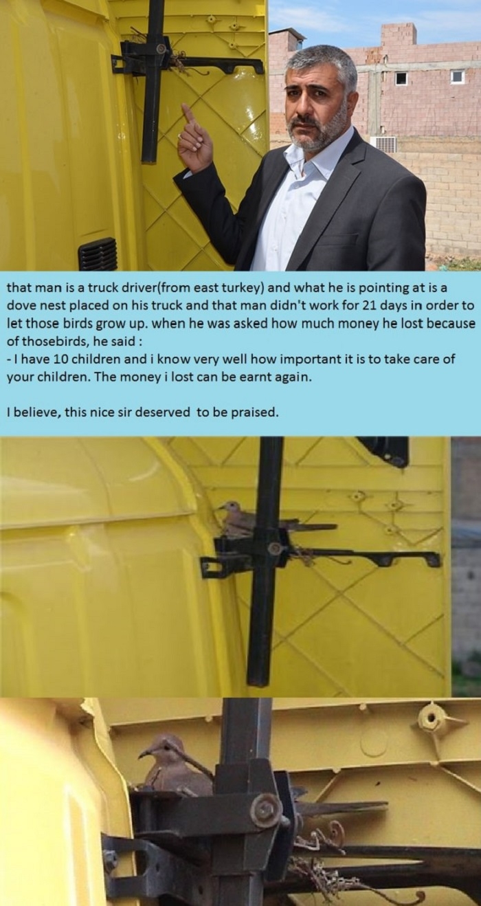 Faith in humanity restored