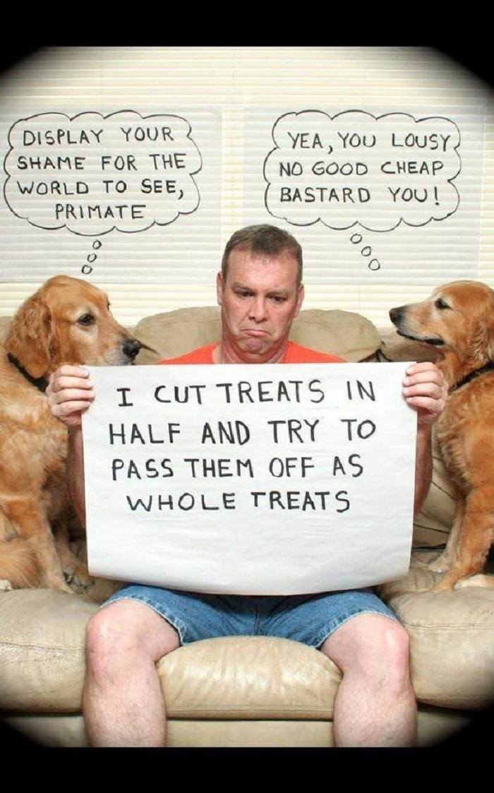 The shame