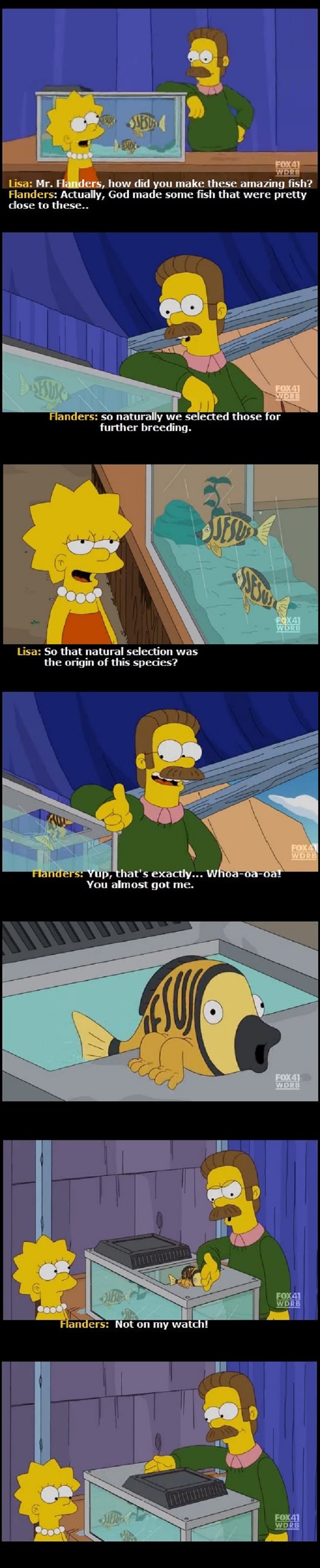 Oh Flanders