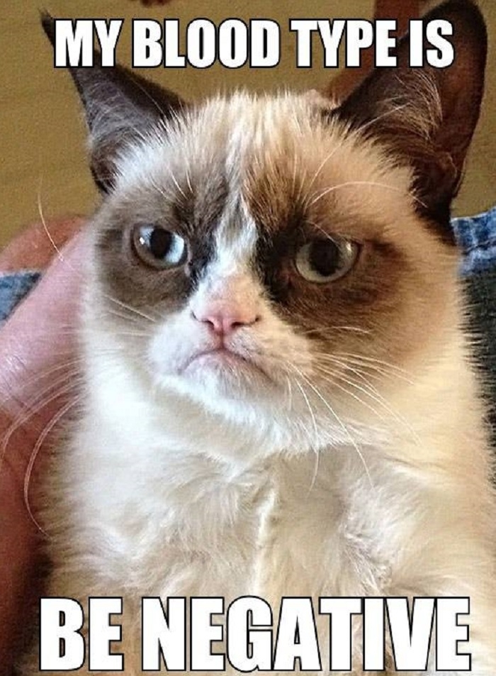 Grumpy cat