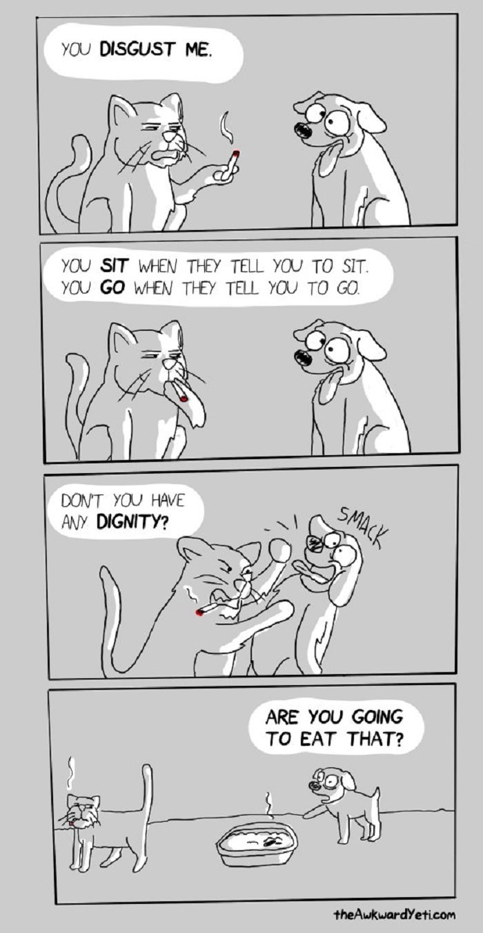Dignity