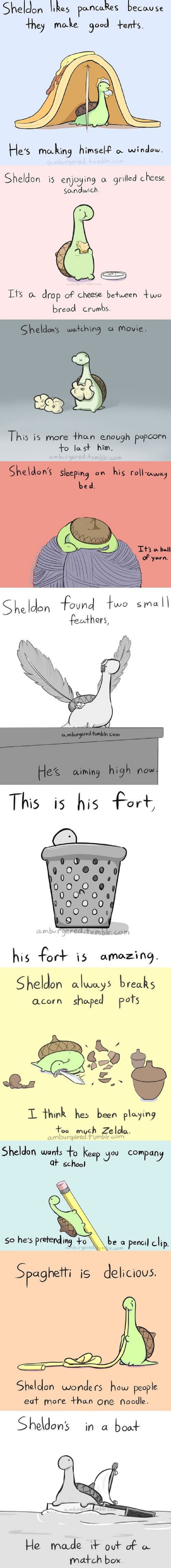 Oh Sheldon!
