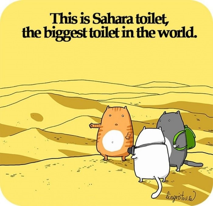Just cats