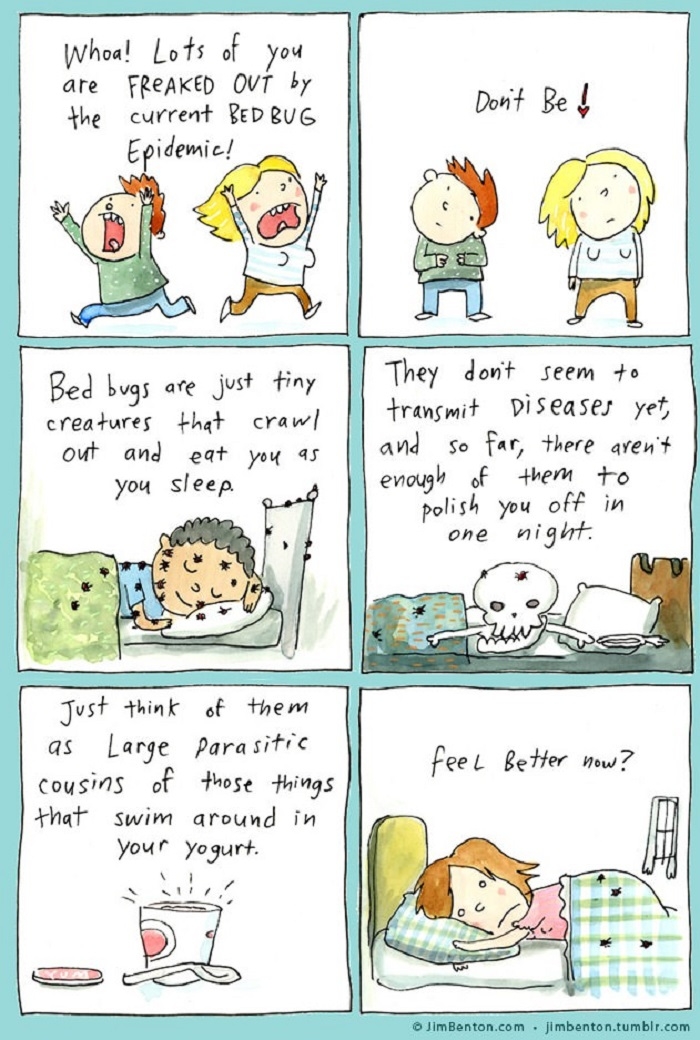 Bed bugs are back