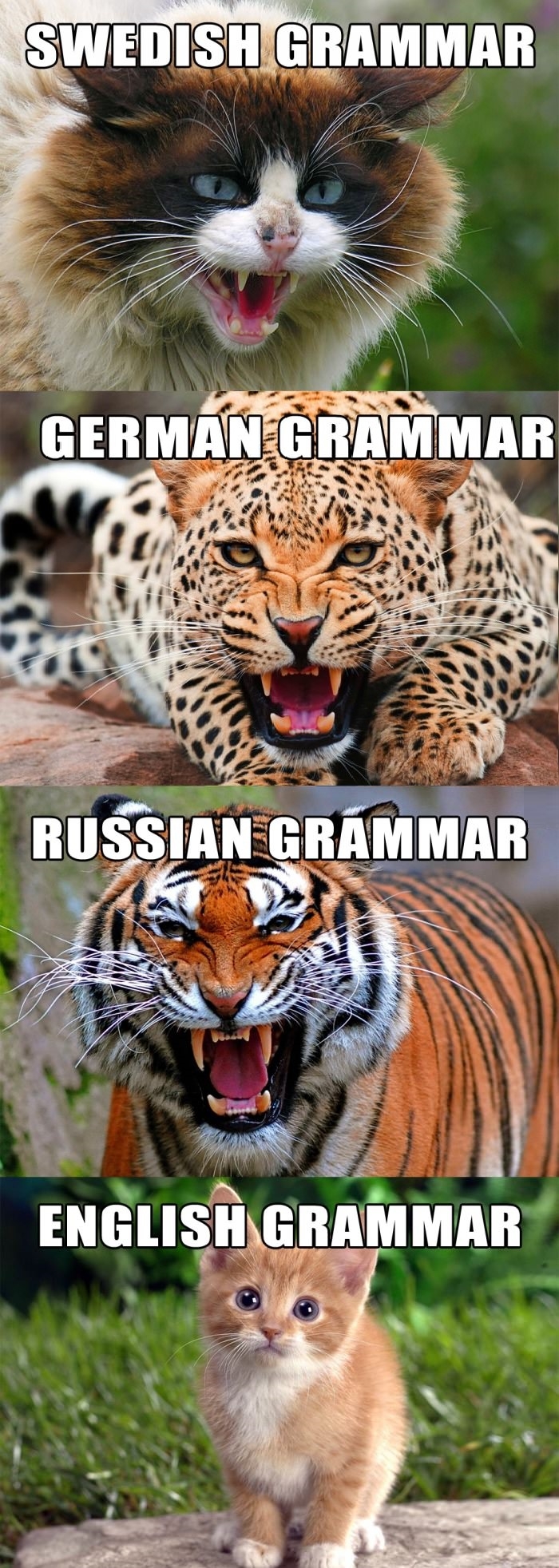 Different grammars