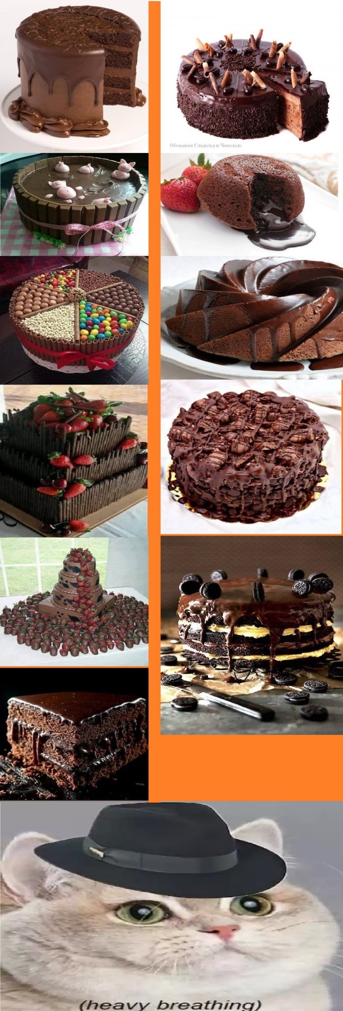 Chocolate cakes