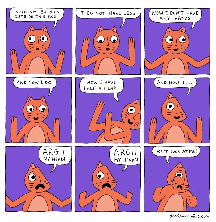 Aw, poor cat