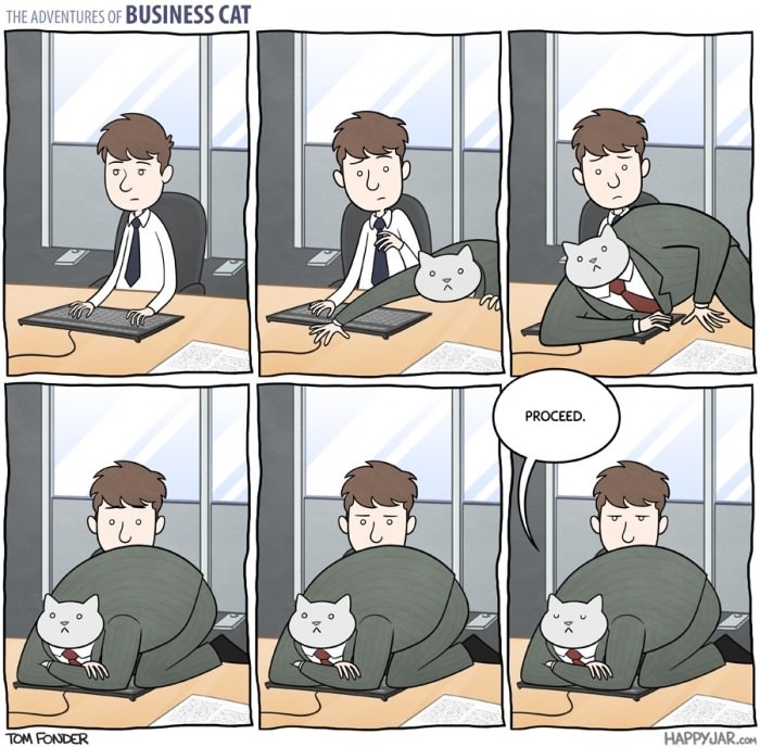Business Cat: Keyboard