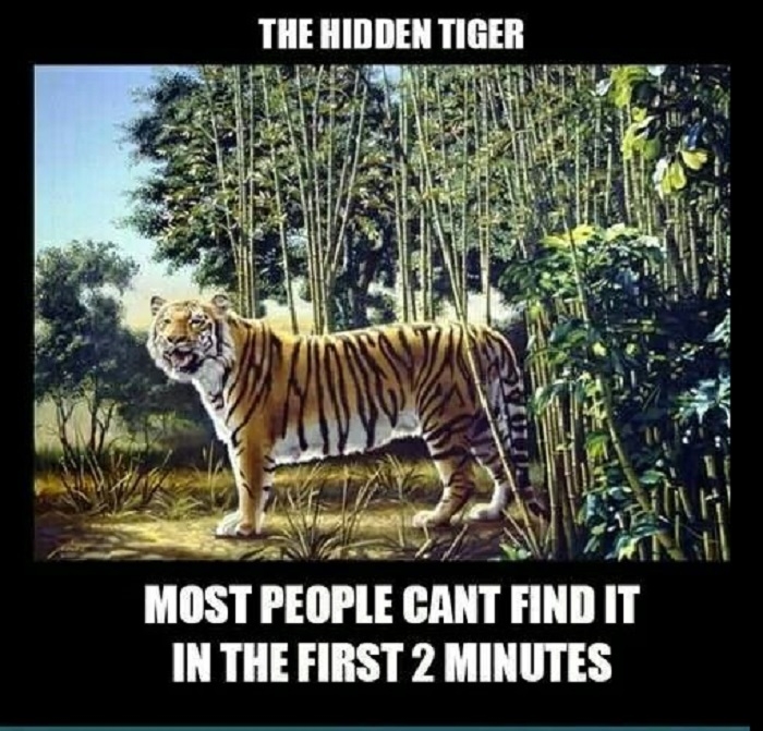 Find the hidden tiger