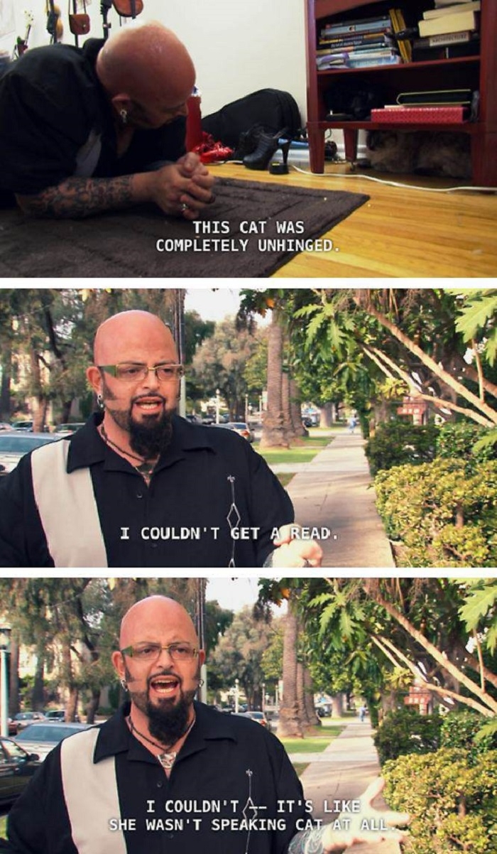 Cat whisperer problems