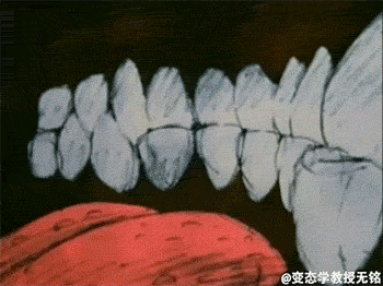 Inside a b*tch's mouth