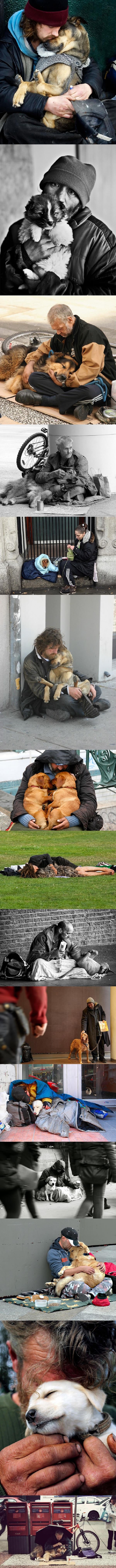 National Dog Day Special