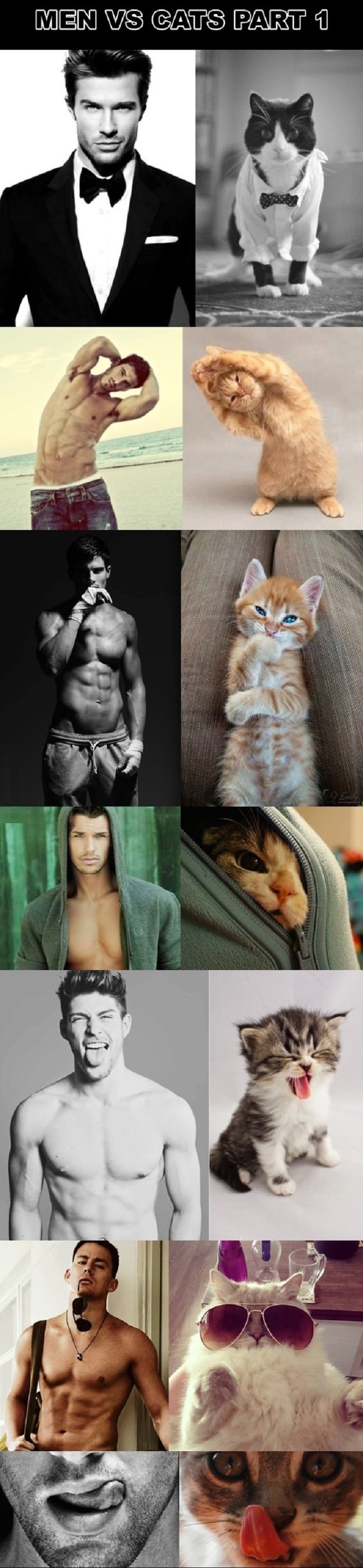 Men vs cats