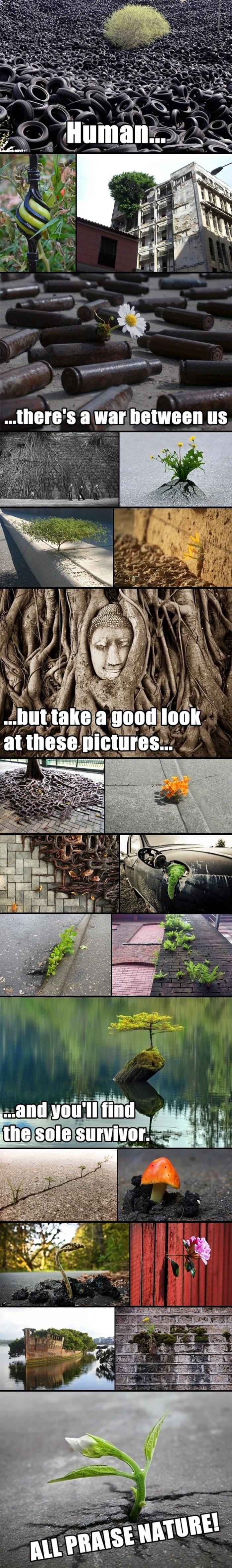 There's a war between..