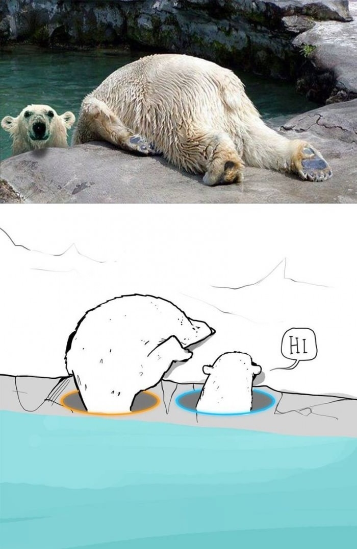 Polar Portal