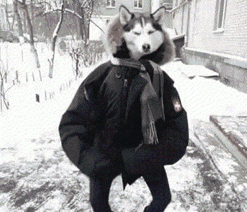 Troll Dog