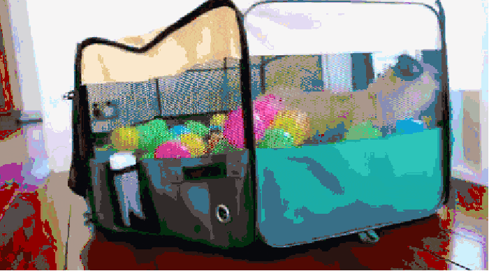 Pug goes bananas in ball pit