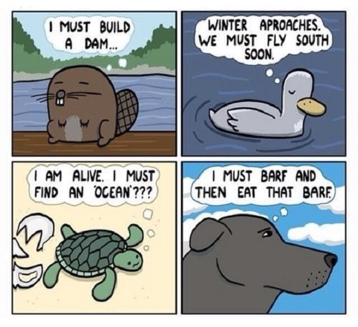 Priorities