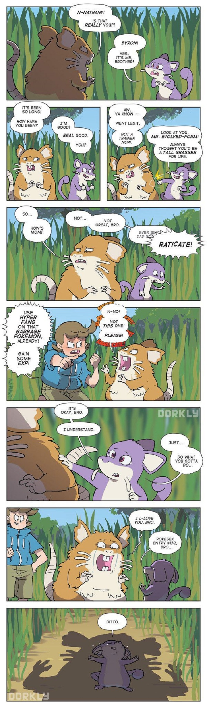 Rattata Family