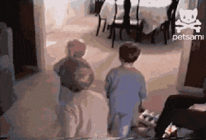 F**k you.. you.. and you!