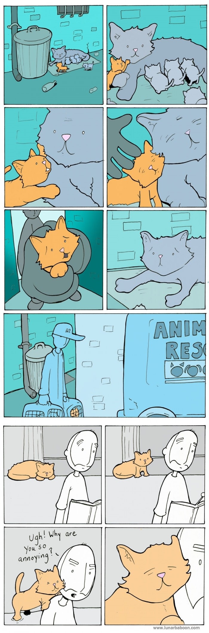 All aboard the feel train